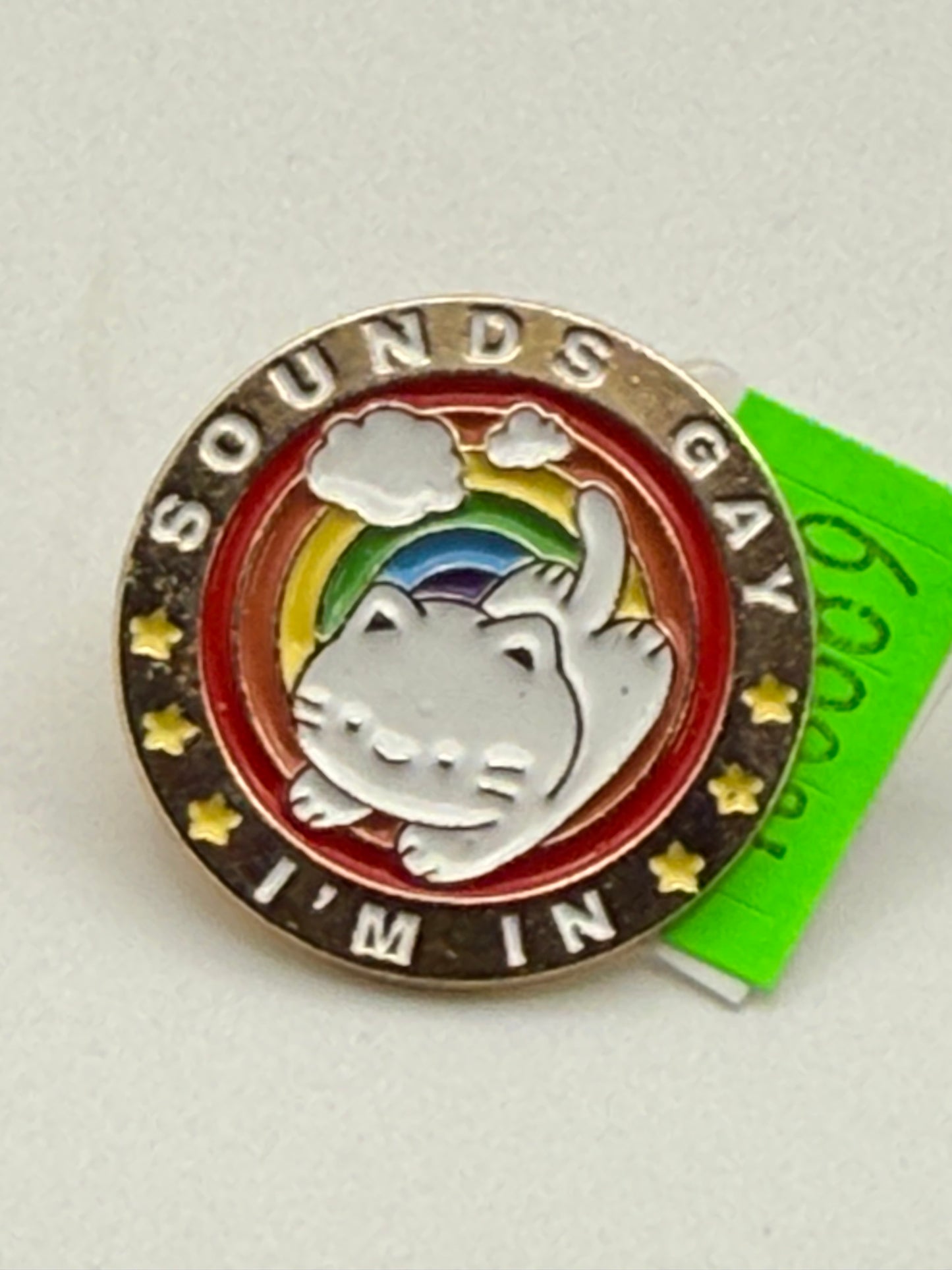 Enamel Pin - Phrases & Thoughts - Rainbow Cat - Sounds Gay I’m In #106389